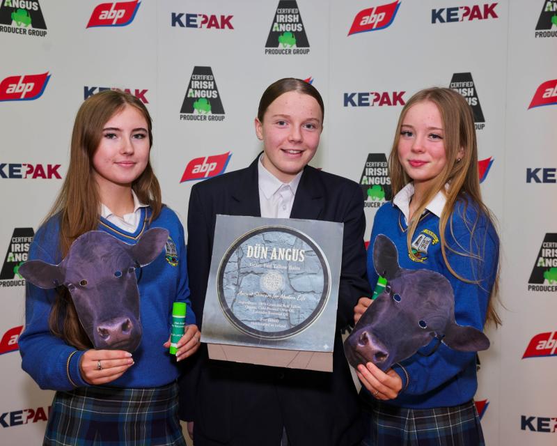 Zoe Ni Bhroin, Ruby Ni Bheolain, and Eleanor Ni Laighin&nbsp;from Gaelcholaiste Chill Dara, Naas Co.&nbsp;Kildare