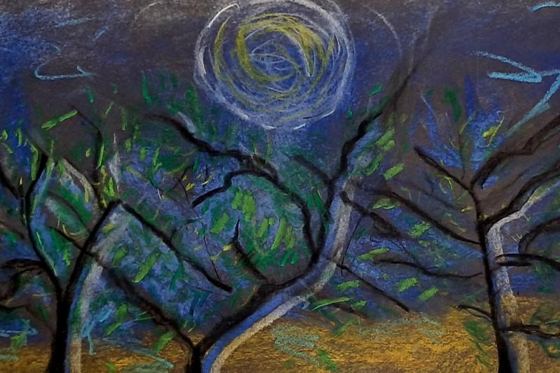 Wild Trees art exhibition