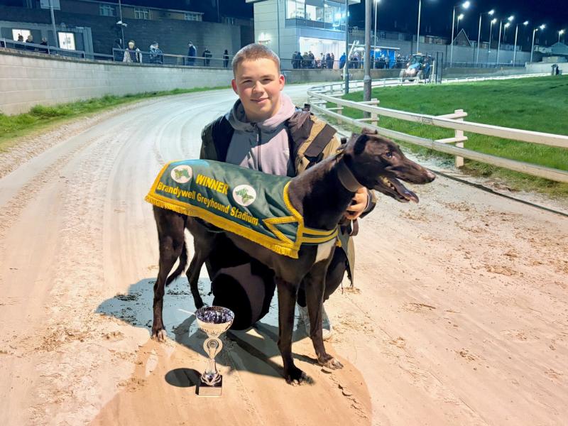 Derry Greyhounds: Tyler&rsquo;s Danubius Powers To Gold In Brandywell Sprint Final