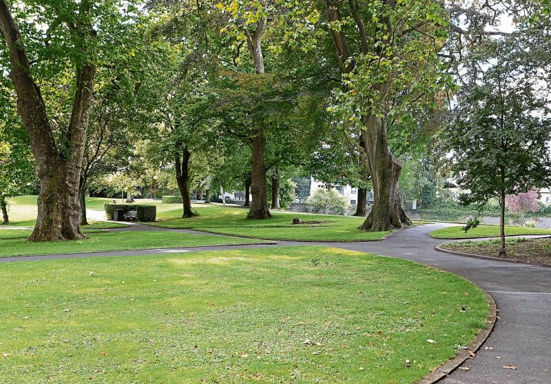 Free tree saplings offered across Limerick as part of National Tree Week 