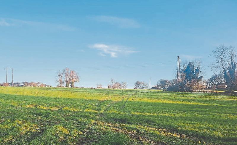 &lsquo;Field of Dreams&rsquo; put up for sale in Limerick, guided at &euro;750,000