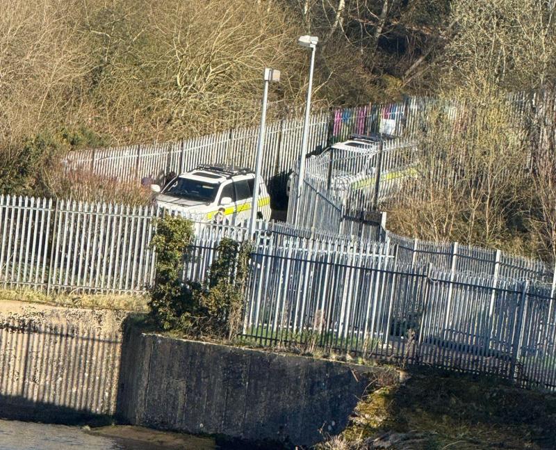 Two suspected firearms seized by police in Derry searches