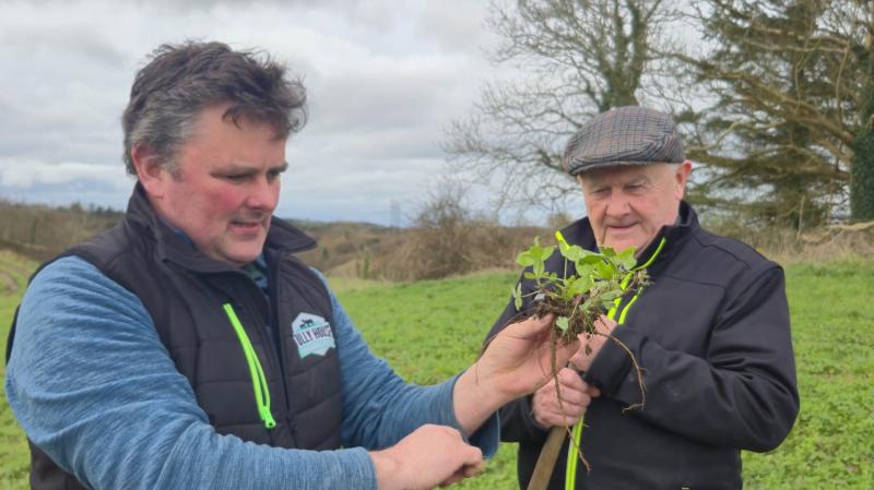 From a total herd wipeout to full organic farming in Ballyshannon