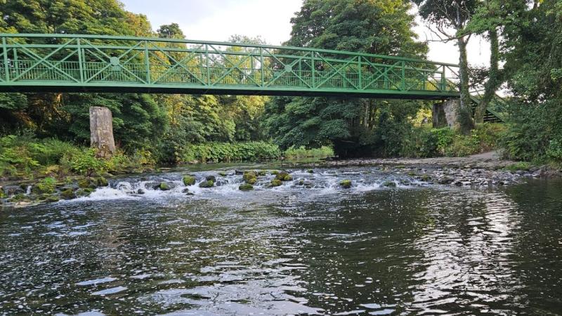Roe Valley angler expresses fears that local rivers are being 'poisoned' 