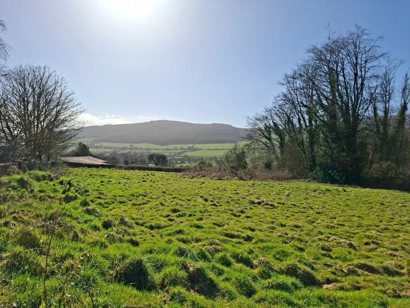 Pilot sites in Limerick identified for practical testing of biodiversity-friendly land management