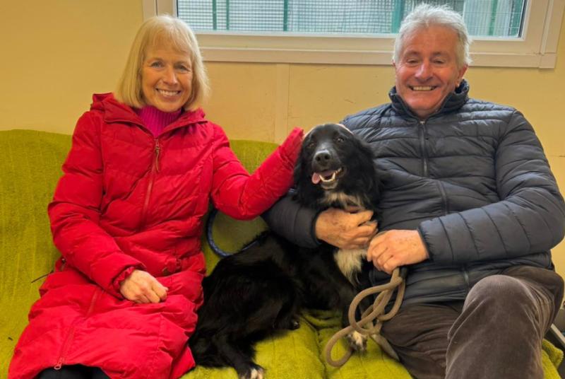 'Three very happy faces'- Huge praise after couple adopts stray from Kilkenny shelter 