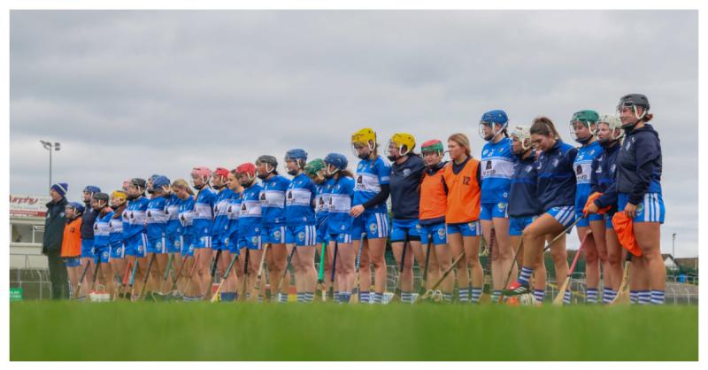 PREVIEW: Busy Saturday with Laois Camogie, minor hurlers and LGFA minor footballers all in action
