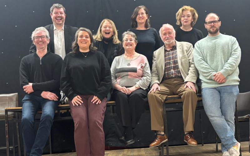 Dundalk&rsquo;s Friary Hall to host charming comedy Big Splash, Small Fish