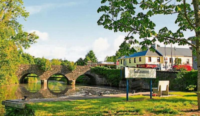 'Eco warriors' keeping south Leitrim town free from litter