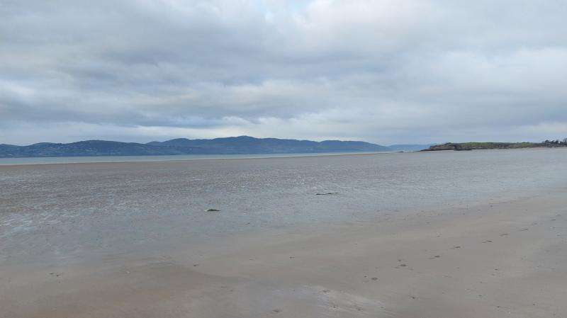 Urgent clarity needed on Donegal pollution incident say councillors