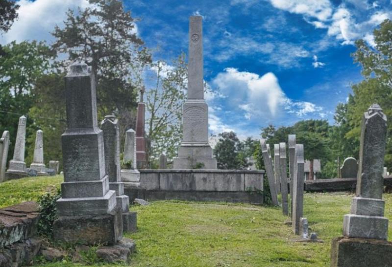 Concern that sightlines near Kildare church's graveyard are being obscured