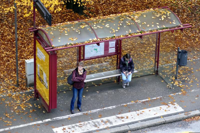 Assortment of Kildare bus shelter works 'due to commence soon'