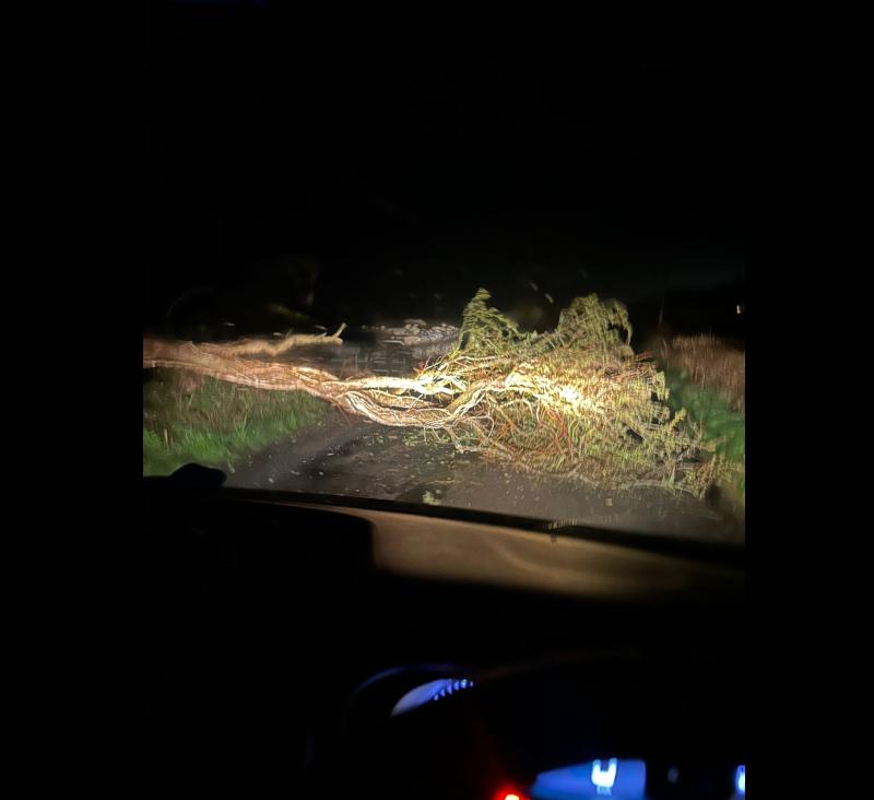 High winds cause localised impacts across Limerick overnight