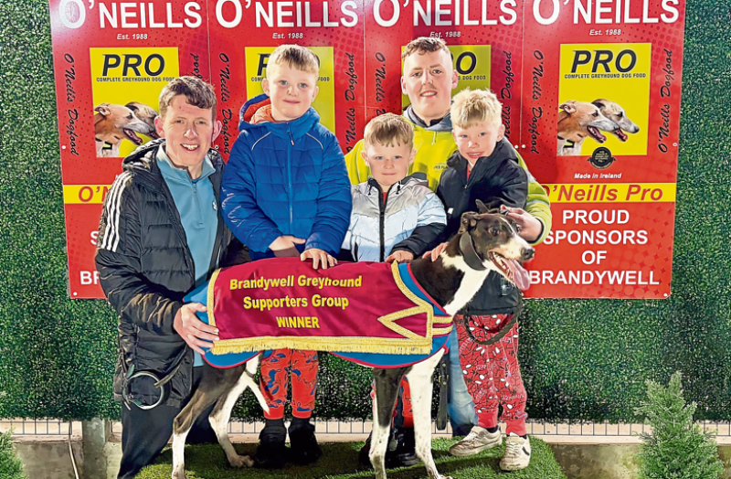 Derry Greyhounds: Veteran Starcash Barry caps 100th race with dramatic victory