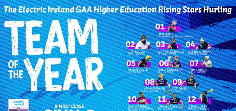 Kilkenny duo named on Fitzgibbon Cup hurling team of the year