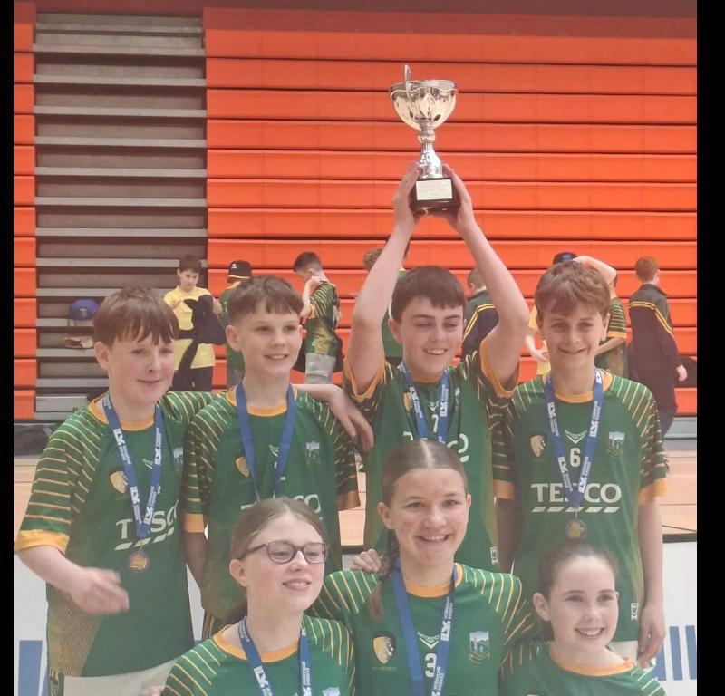 Kilkenny youngsters show well to win All-Ireland Volleyball title