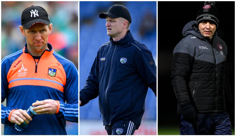 All-Ireland winning hurling coach and sports psychologist help Laois to GAA league triumph