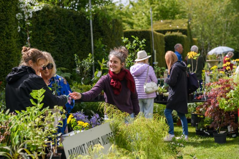 Food, art, gardening and more at Ballintubbert House festival in Laois
