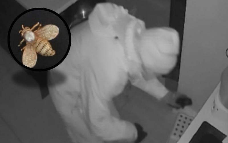 CCTV shows three intruders rifling through drawers in Kildare home burglary 