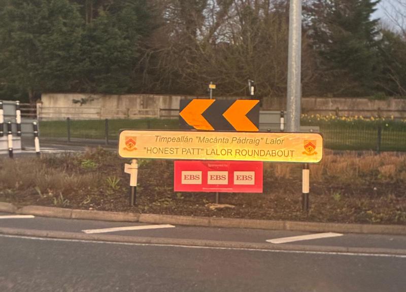 Irish translations in Portlaoise signs wrong says Laois county councillor