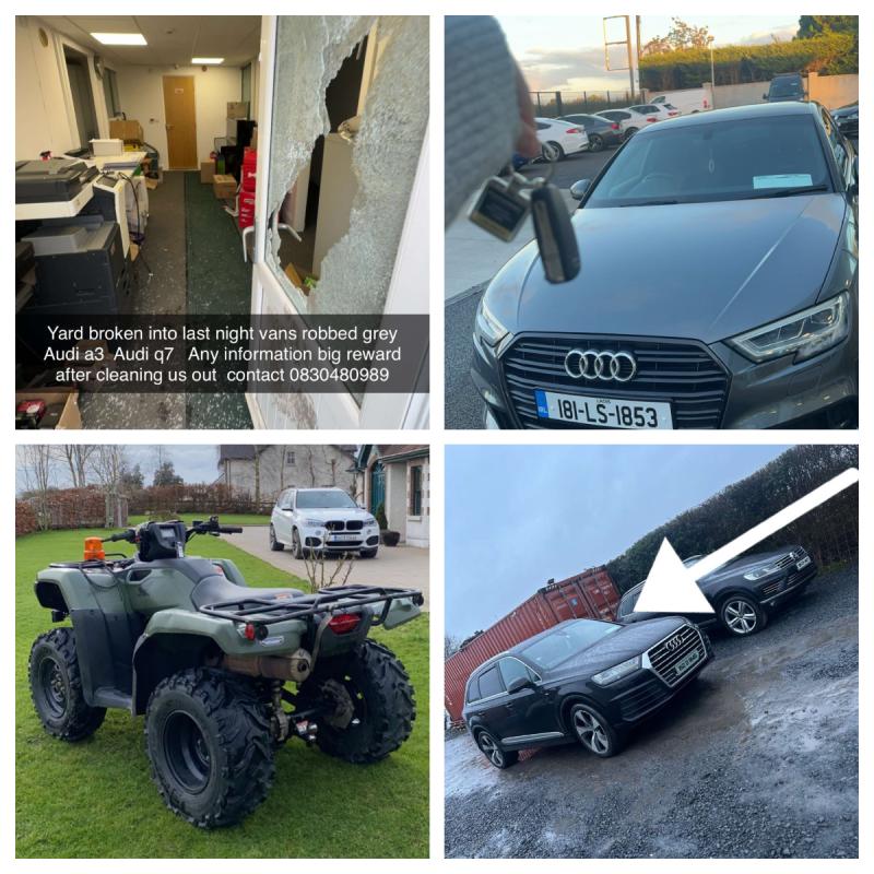 Dog drugged as armed raiders steal over &euro;100,000 in vehicles from Laois family business