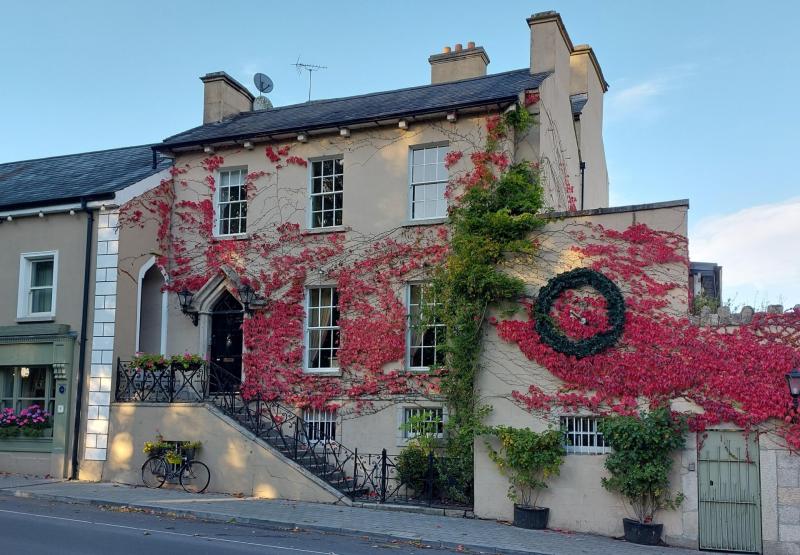 Big boost as town in Carlow secures &euro;50k funding under major national heritage scheme