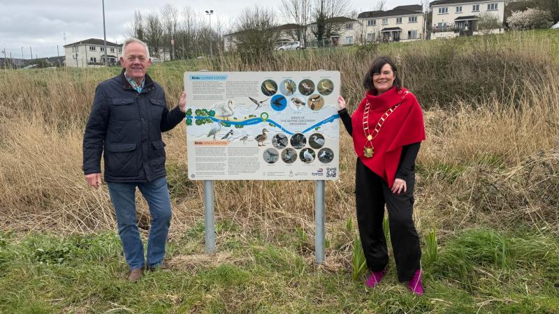 New Biodiversity Panels Installed Along the Boyne Greenway