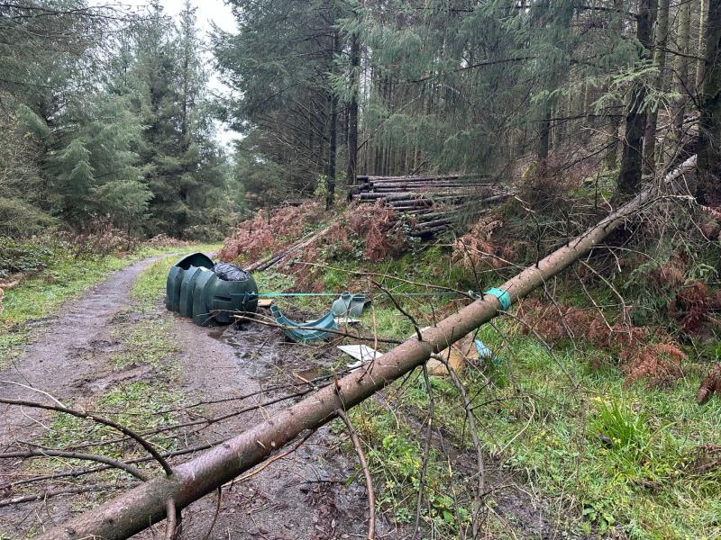 &lsquo;Key driver of dumping&rsquo; - Warning made to highlight illegal waste collectors in Kilkenny