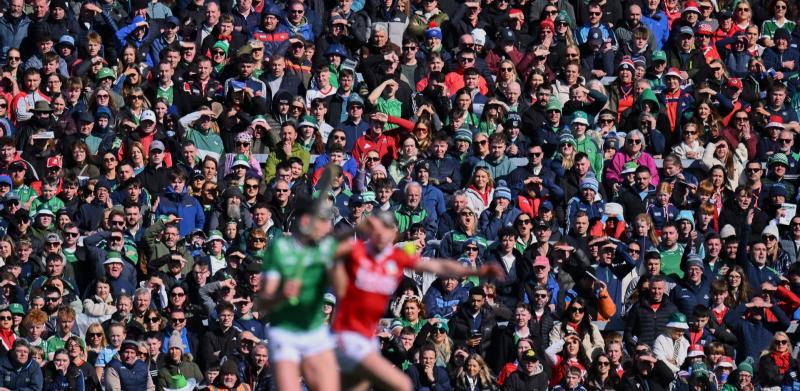 TLC success and league finals show Limerick at full strength 