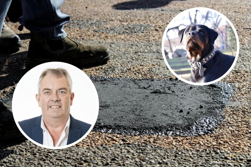&lsquo;Rottweiler&rsquo; approach urged to tackle poor reinstatement works in Limerick