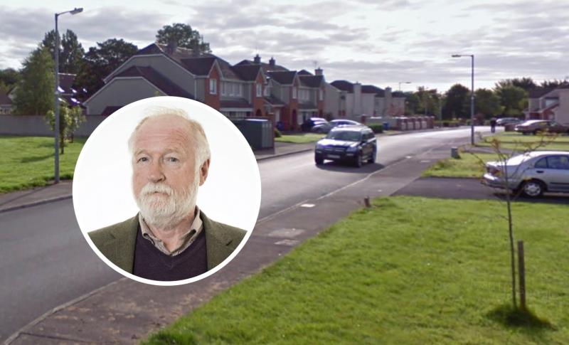 'Be careful what you wish for' warning over Limerick traffic review calls