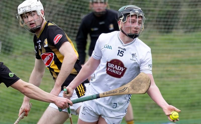 Kildare U20 hurling side named to take on Galway