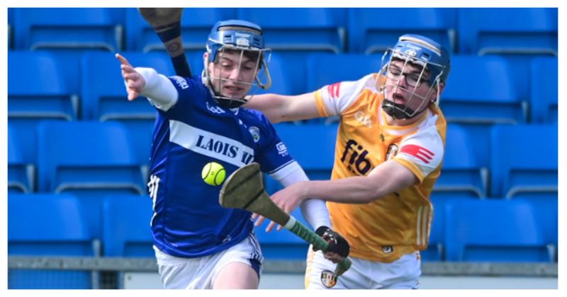 Cuddy leads the way as Laois minor hurlers secure Tier 1 spot in Leinster Championship