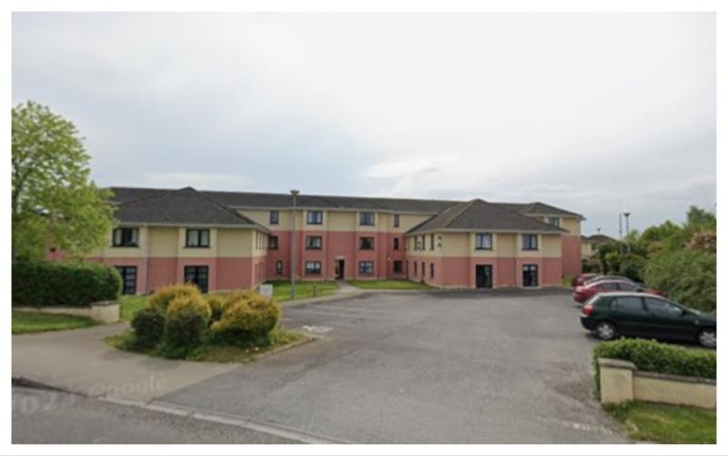 Elderly people forced to climb dangerous slope near Laois retirement village