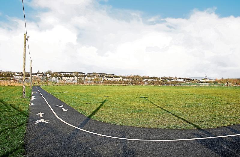 Bid to use emergency legislation to stop mayor's plans to build houses in Limerick park