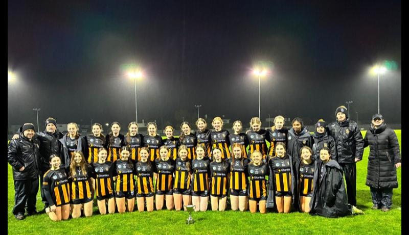 Kilkenny celebrate Leinster Final Under-16 glory against Dublin 