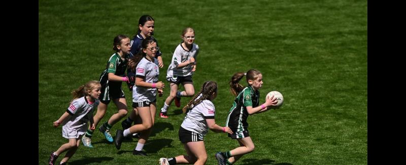 Tipperary club's Under 10 players thoroughly enjoyed memorable Croke Park visit