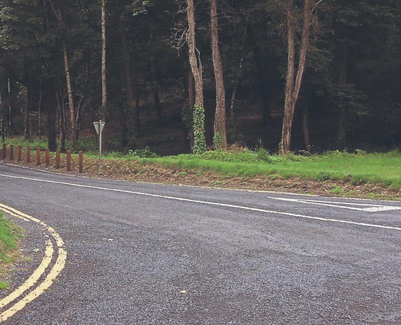 Trunk of money to be spent on Coillte's forest amenities in Limerick