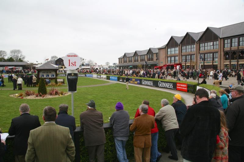 A guide to the language of one of Kildare's most popular sport events