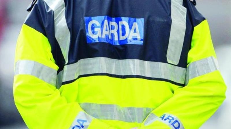 Garda&iacute; appeal for witnesses following theft of caravan in Laois