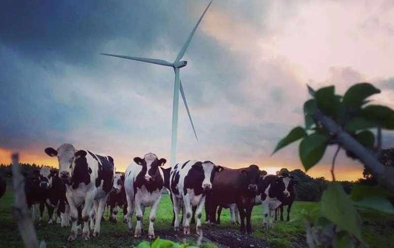 People asked to attend public consultation and share their ideas for Tipperary's future