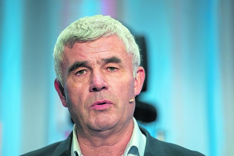 Shannon Group chair resigns from role