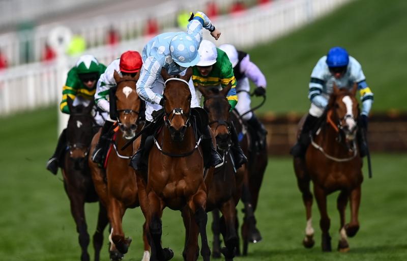 REACTION: See the online jubilation after Rachael Blackmore's win in Cheltenham