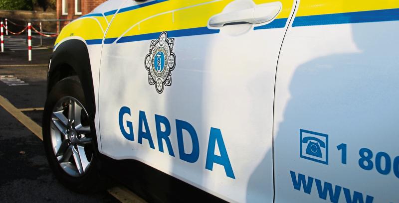 Gardai seize cocaine and over €30k in cash during raid in Limerick village