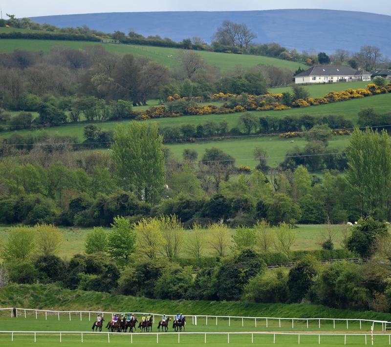 Big Tipperary lotto win heads to Punchestown of all places!