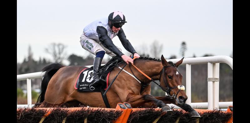 Tipperary-owned Kala Conti scores at Leopardstown Racing Festival