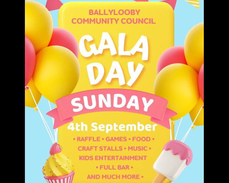 Big day planned for Ballylooby