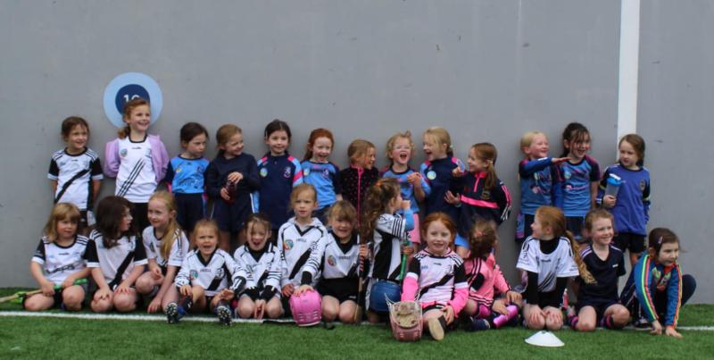 Nenagh &Eacute;ire &Oacute;g GAA Club launches new keep fit walking programme and youth player academy