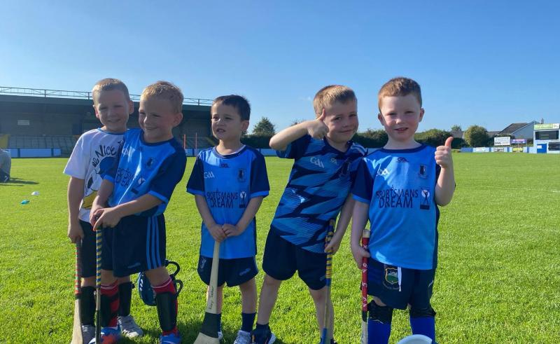 Buy your ticket: Nenagh &Eacute;ire &Oacute;g's GAA club's weekly lotto  draw has now reached &euro;8,600