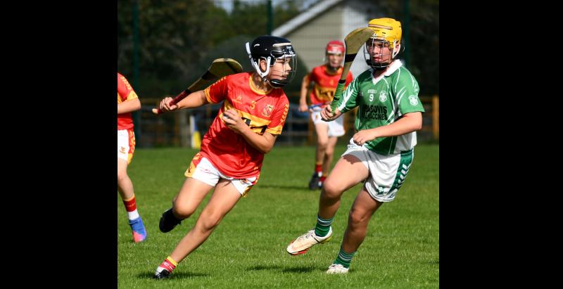 PICTURES: Great weekend of action with U13 mid Tipperary finals on show
